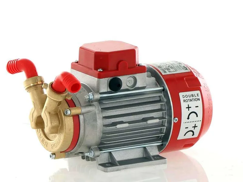 Rover Marina 20 - Pompe électrique de transfert en bronze - 12 V