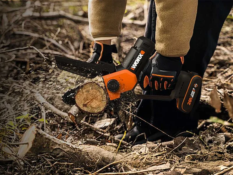 Worx WG326E - Élagueuse sur batterie + perche de rallonge de 125 cm - 20 V 2 Ah