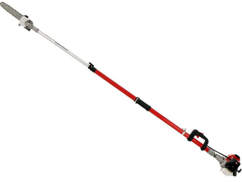 Perche élagueuse télescopique BlueBird PTT261