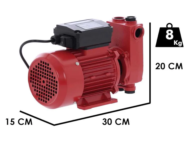 Ribimex PRKG130 - Pompe de transfert pour gasoil + kit distributeur