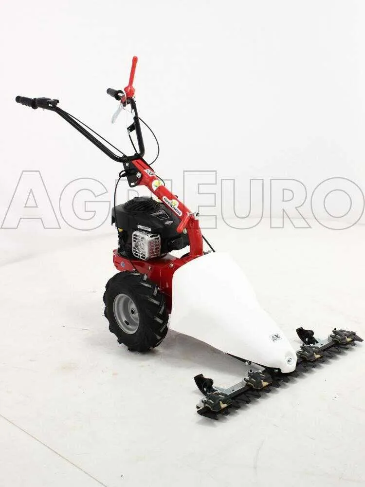 Eurosystems M210 - Motofaucheuse bilame - B&S 450E