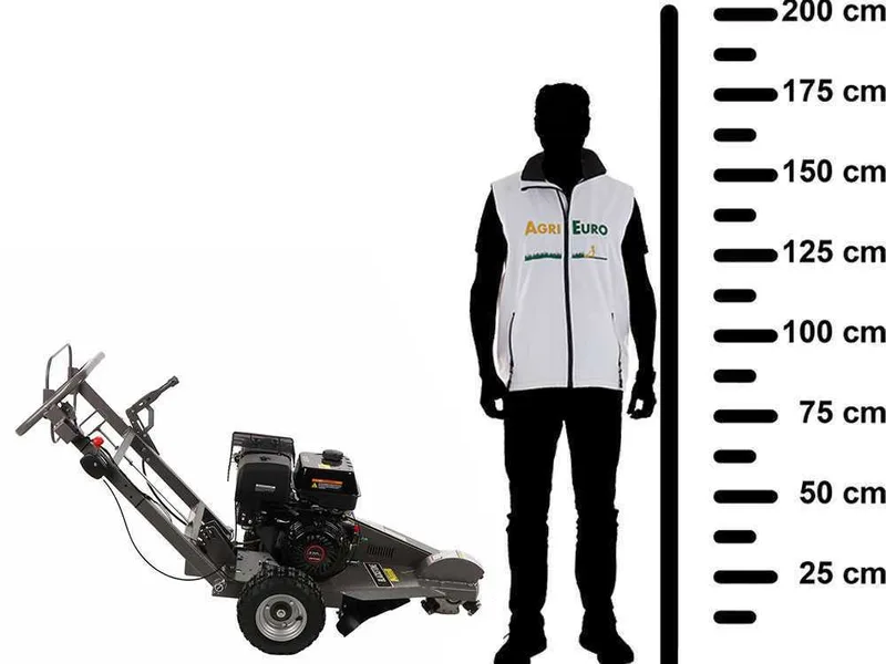 BlackStone SG 420 L - Rogneuse de souches - Moteur Loncin de 420 cm3 - Disque de coupe avec 8 marteaux en carbure de tungstène