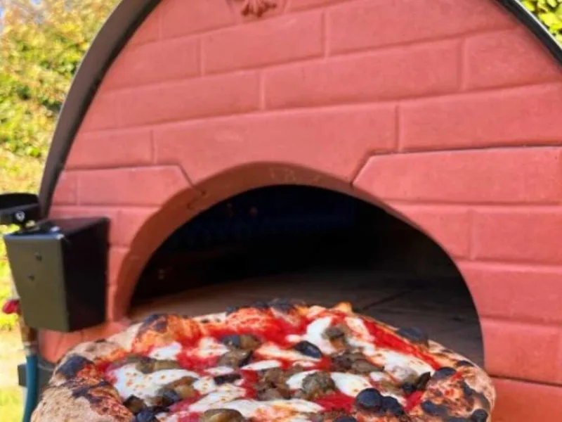 Pizza Party Bollore Pietra - Four à pizza hybride 2-en-1 gaz/bois - Chambre de cuisson 60 x 60 cm - Sole en briques réfractaires