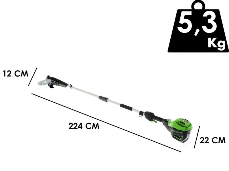 Greenworks GD60PS25 60V - Élagueuse sur perche à batterie 60V - Batterie 2 Ah