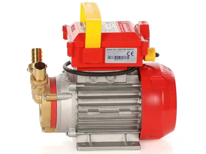 Rover BE-M 20 IP 55 - Pompe électrique de transfert en bronze avec protection IP55 - Monophasée - 230 V