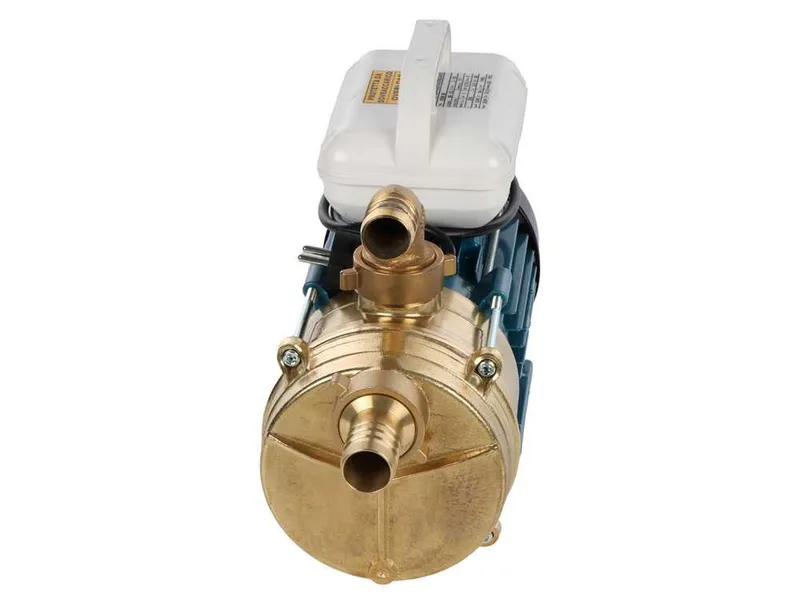 Tellarini EEM 40 - Pompe électrique de transfert en laiton - Monophasé - 230V