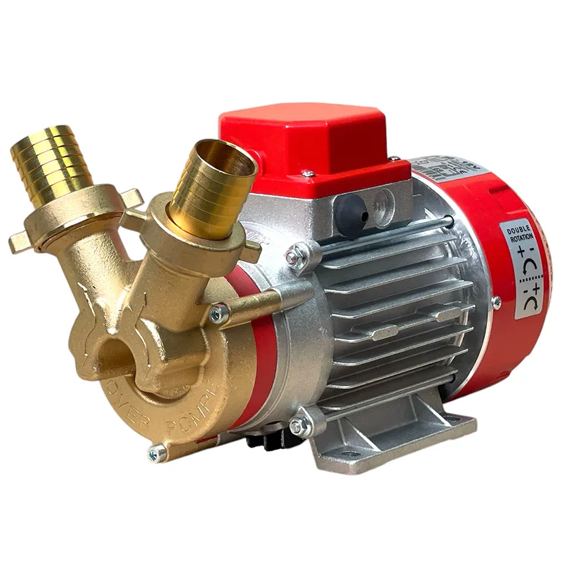 Rover Marina 30 - Pompe électrique de transfert en bronze - 12 V