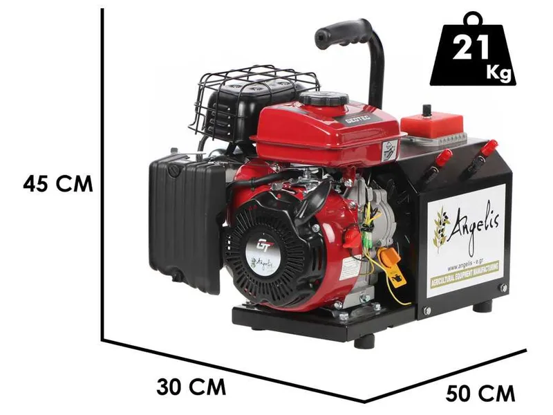 Agrieuro Premium Angelis - Groupe électrogène portable 12/22V