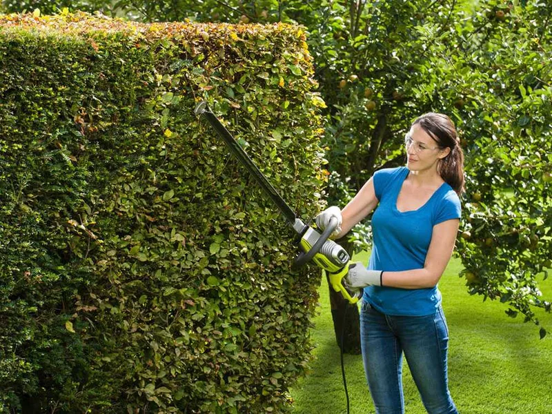Ryobi RHT6760RL - Taille-haie électrique avec lame de 60 cm - 650W