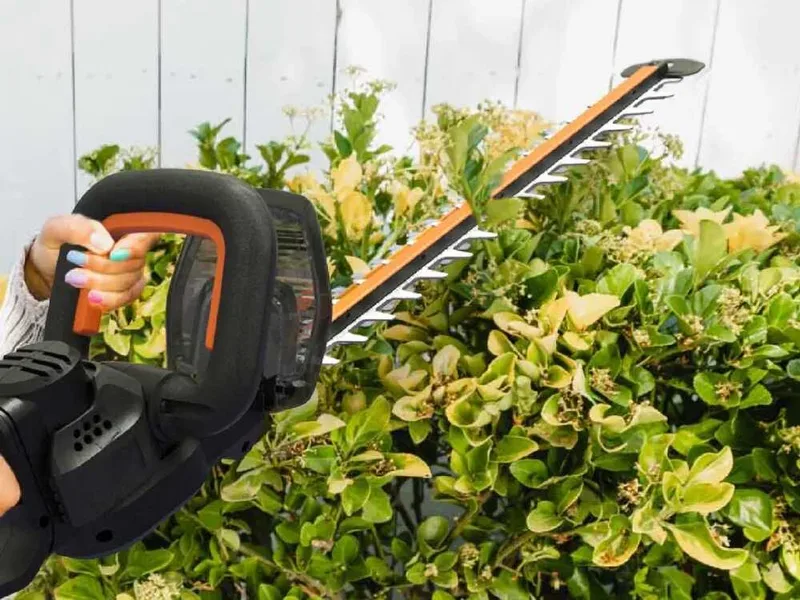 Worx Nitro WG263E.9 - Taille-haie à batterie - 20V