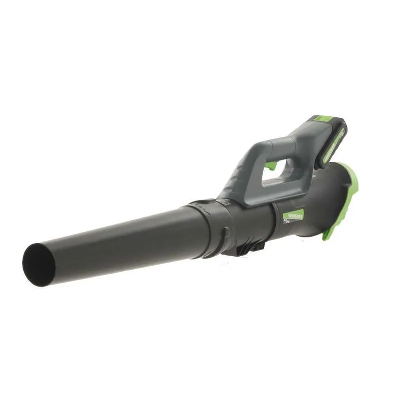 Verdemax SA20 - Souffleur de feuilles à batterie 20 V 2 Ah