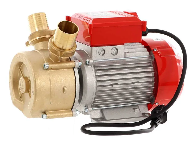 Rover BE-M 50 - Pompe électrique de transfert en bronze - Monophasée - 230 V