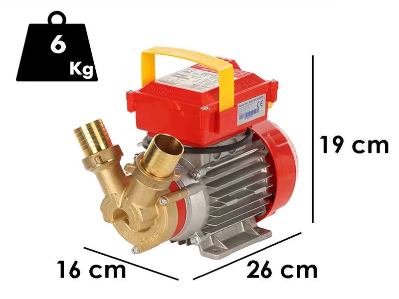 Rover 35 CE - Pompe électrique de transfert en bronze - Monophasée - 230 V
