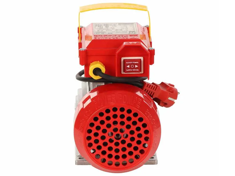 Rover BE-M 10 - Pompe électrique de transfert en bronze - Monophasée - 230 V