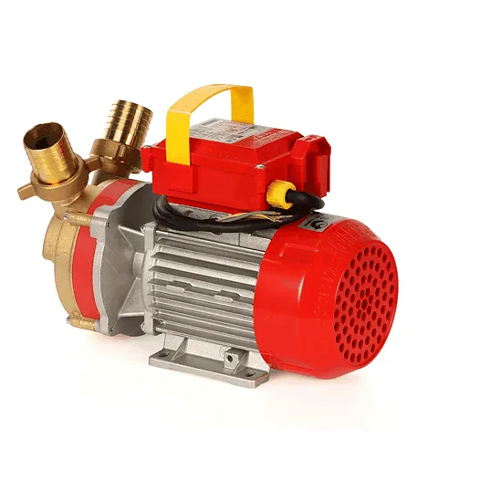 Rover BE-T 40 - Pompe électrique de transfert en bronze - Triphasée - 400 V