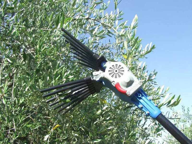 Peigne vibreur électrique à batterie Lisam Oliwatt 2 - Avec dents en Nylon - 250-350 cm - Perche télescopique