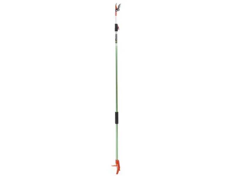 GeoTech FP 180-300 EVO - Coupe-branches sur perche télescopique avec système coupe-maintien