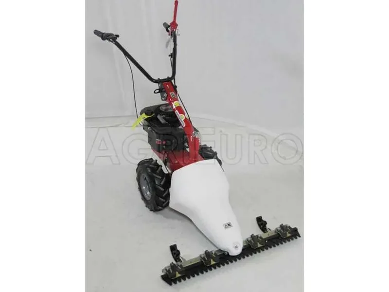 Eurosystems M210 - Motofaucheuse bilame - B&S 625