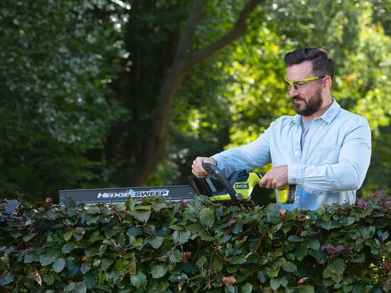 Ryobi RY18HT55A-120 - Taille-haie à batterie 18 V/2 Ah - Lame de 55 cm