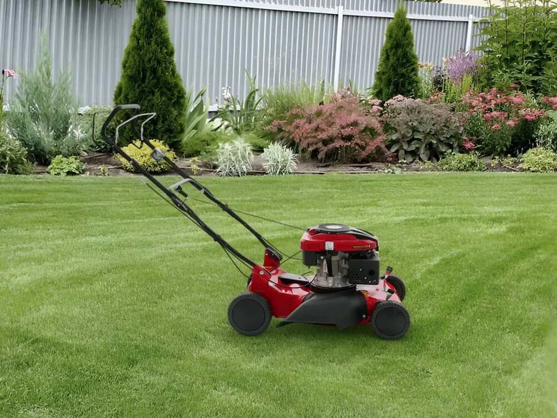 Marina Systems Biomulch 51 SL - Tondeuse à gazon mulching - Moteur Loncin 65FC