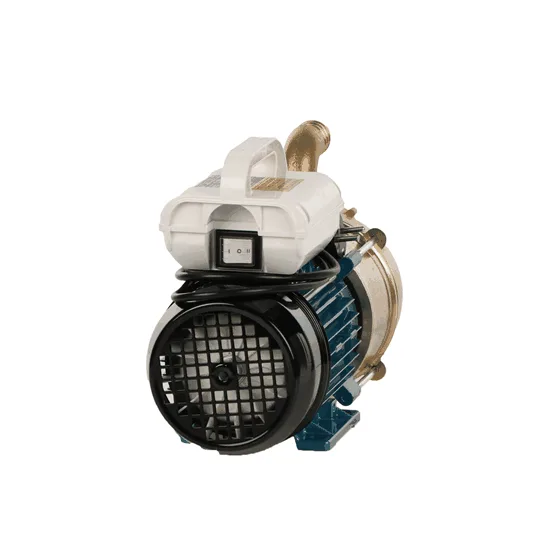Tellarini EEM 40 - Pompe électrique de transfert en laiton - Monophasé - 230V