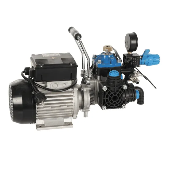 Bertolini Pumps POLY 2030 H.P. RTE.1 - Motopompe électrique de pulvérisation - Version pour acides et produits chimiques