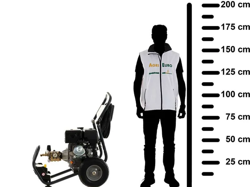 Lavor Thermic 2W 13L - Nettoyeur haute pression thermique professionnel - 310 Bar - Moteur Loncin G390F - 13 CV