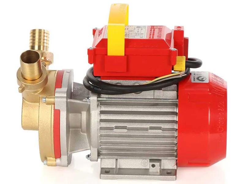 Rover BE-T 30 - Pompe électrique de transfert en bronze - Triphasée - 400 V