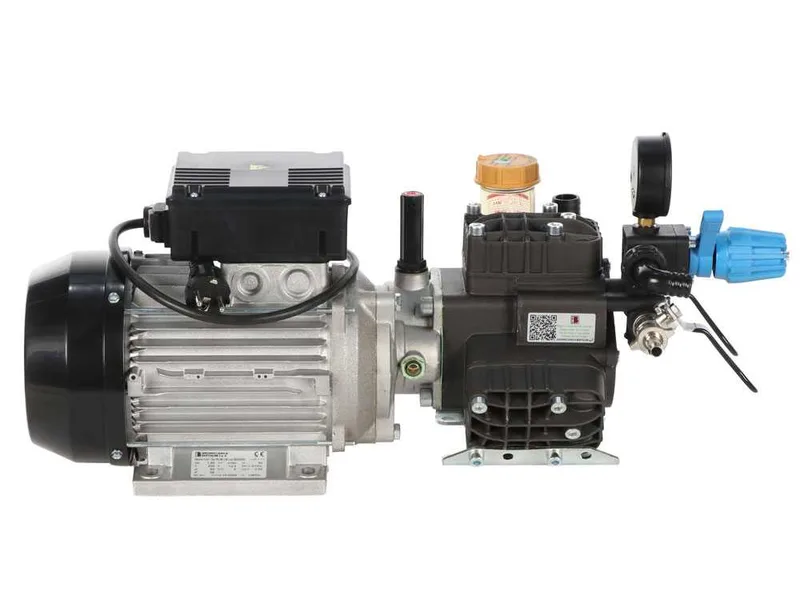 Bertolini Pumps PA 330.1 VF - Motopompe électrique de pulvérisation