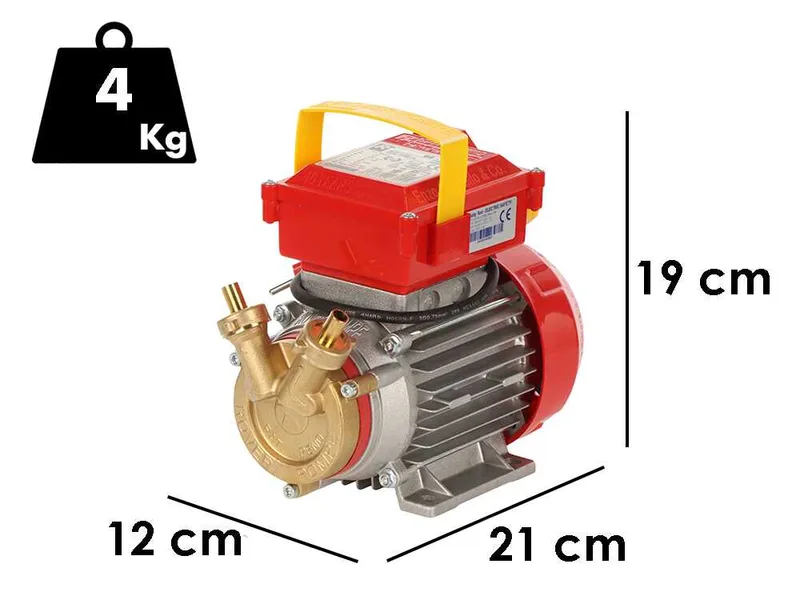 Rover BE-M 10 - Pompe électrique de transfert en bronze - Monophasée - 230 V