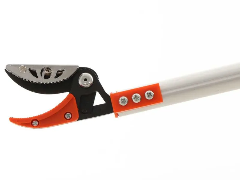 GeoTech FP 180-300 EVO - Coupe-branches sur perche télescopique avec système coupe-maintien