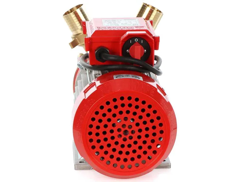 Rover BE-T 50 - Pompe électrique de transfert en bronze - Triphasée - 400 V