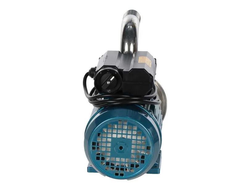 Tellarini ALM 30L - Pompe électrique de transfert d'huile en acier inox - Raccords INOX droit + courbé - Choisissez vos raccords