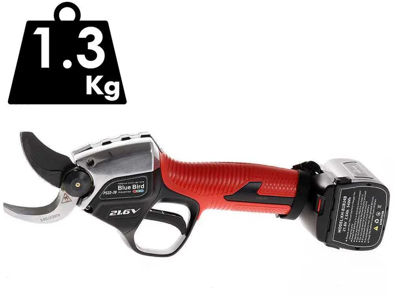 Sécateur électrique à batterie sur perche de rallonge BlueBird PS 22-38 - 21.6V - 2.5 ah - Diamètre de coupe 38 mm