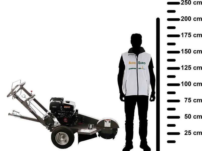 BlackStone SG 420 L ES PRO - Rogneuse de souches - Moteur Loncin de 420 cm3 - Disque de coupe avec 8 marteaux en carbure de tungstène