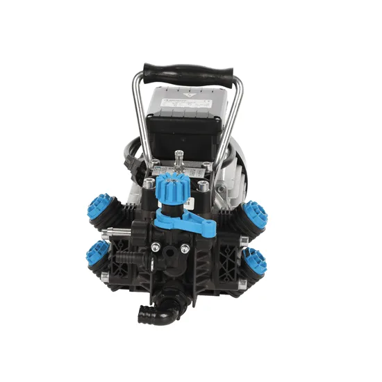 Bertolini Pumps STRIP DE71 - Motopompe électrique de pulvérisation