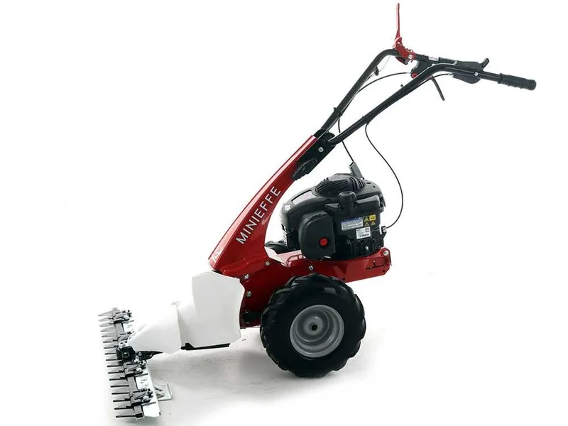 Eurosystems Minieffe - Motofaucheuse multifonction - B&S 450E