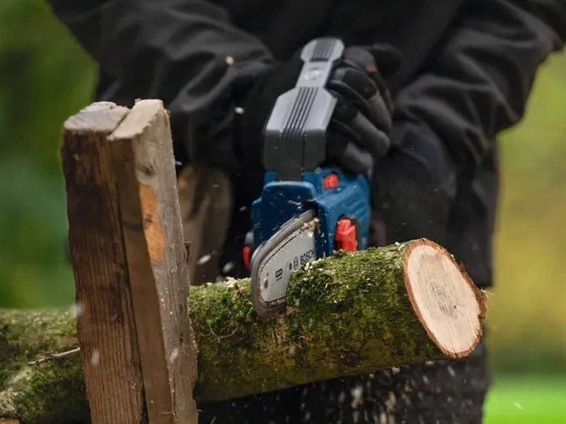 Bosch Professional GKE 18V‑15 - Élagueuse manuelle à batterie 18V 8Ah + Chargeur rapide