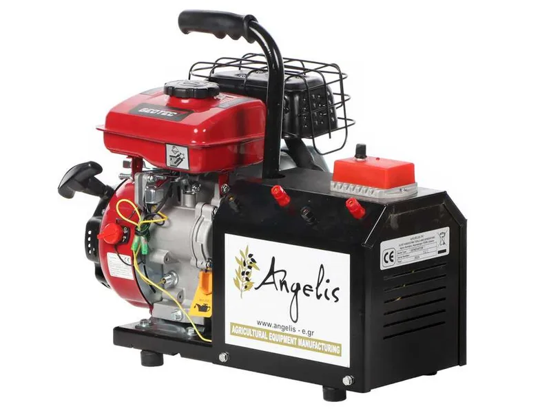 Agrieuro Premium Angelis - Groupe électrogène portable 12/22V