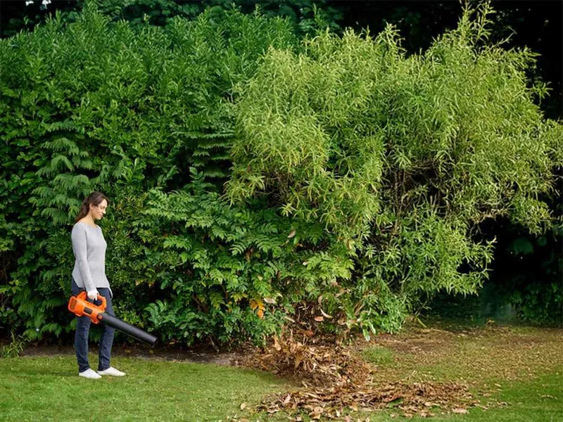 Black & Decker BCBL200B-XJ - Souffleur à batterie