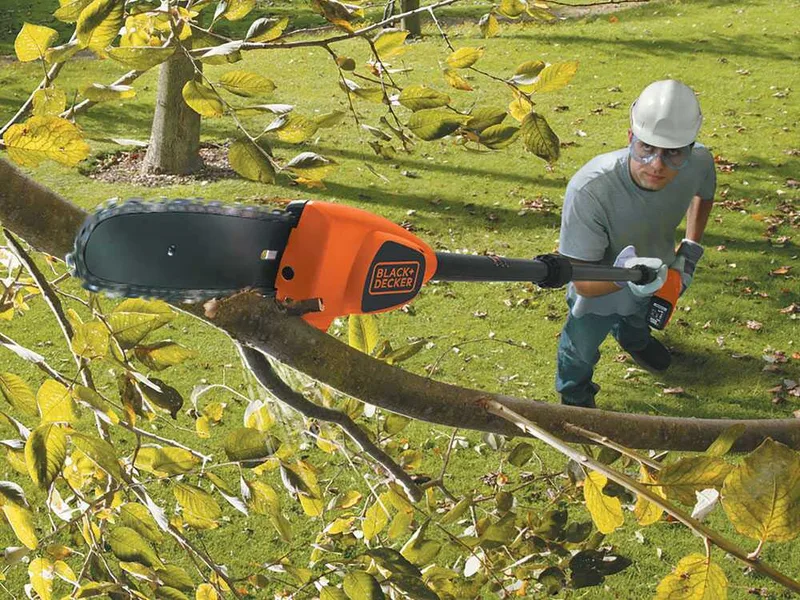 Black & Decker GPC1820L20-QW - Élagueuse à batterie sur perche 18V 2Ah + une batterie 18V 2Ah