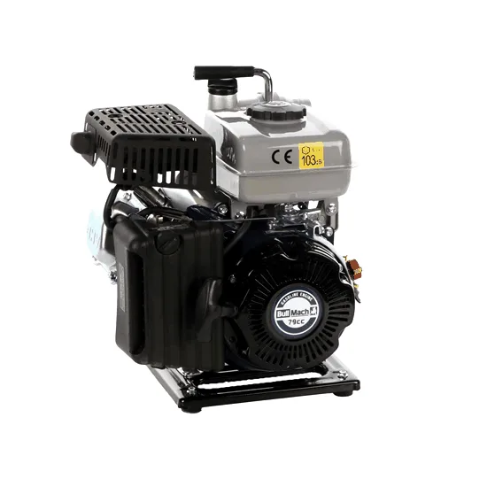 BullMach AQUANIS 30 - Pompe thermique - avec raccord de 30 mm