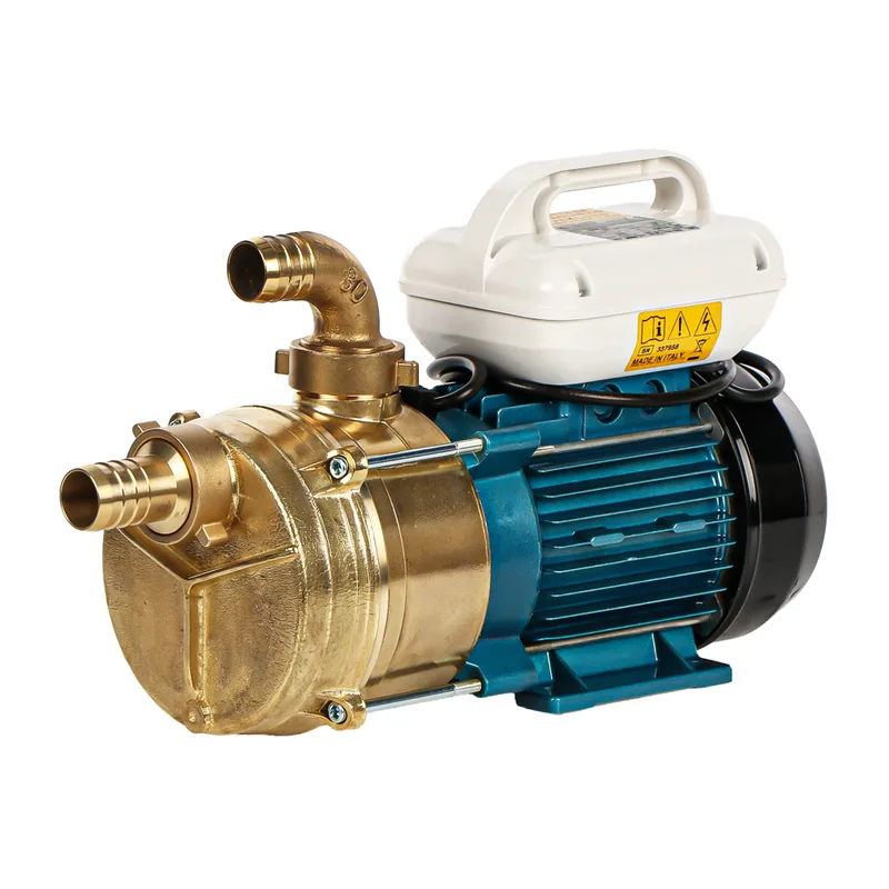Tellarini EEM 30 - Pompe électrique de transfert en laiton - Monophasé - 230V