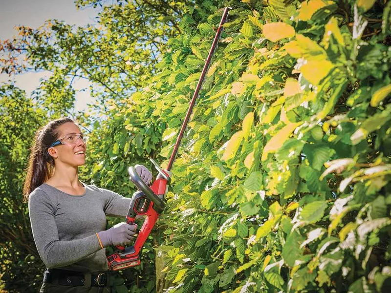Einhell GP-CH 18/61 Li BL - Taille-haie à batterie - 18 V 4 Ah