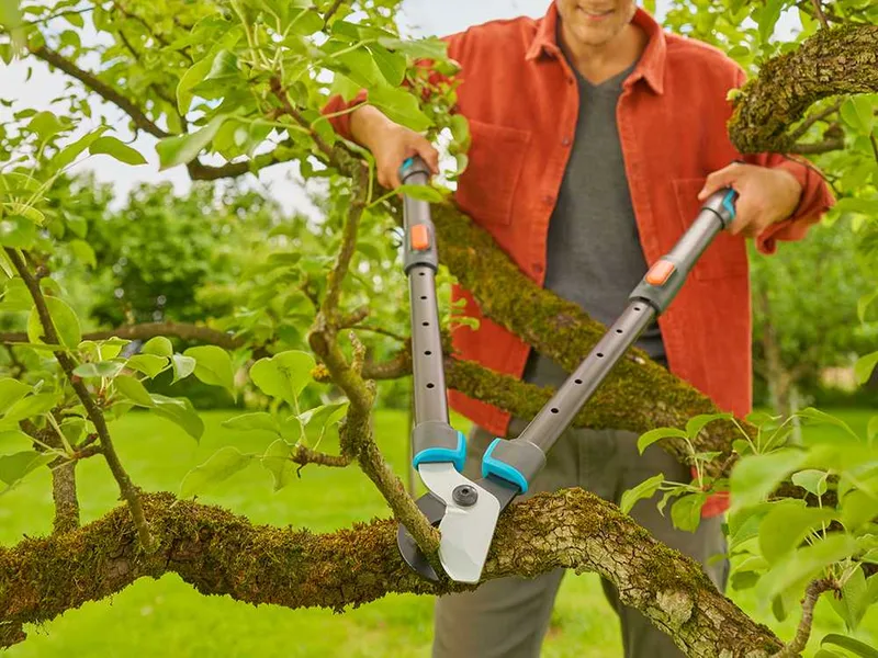 Gardena TeleCut Pro L - Coupe-branches Bypass Télescopique - Longueur 65/90 cm