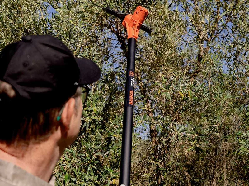 Bahco BCL51 12V - Peigne vibreur électrique à batterie - Perche fixe en aluminium + Rallonge - 230 + 100cm