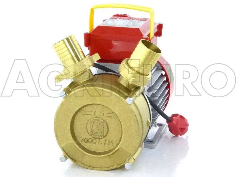 Rover BE-M 40 - Pompe électrique de transfert en bronze - Monophasée - 230V