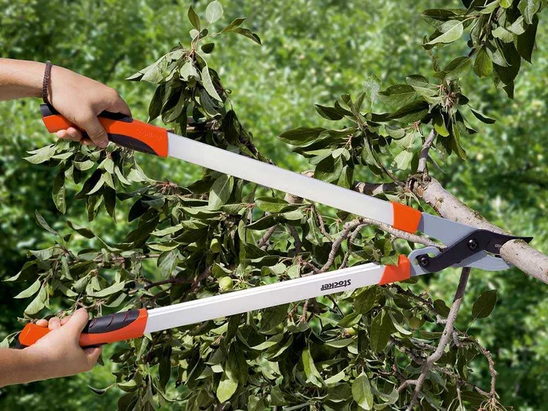 Stocker Hobby 65 - Coupe-branches by-pass - Coupe 40 mm - Longueur de 65 cm