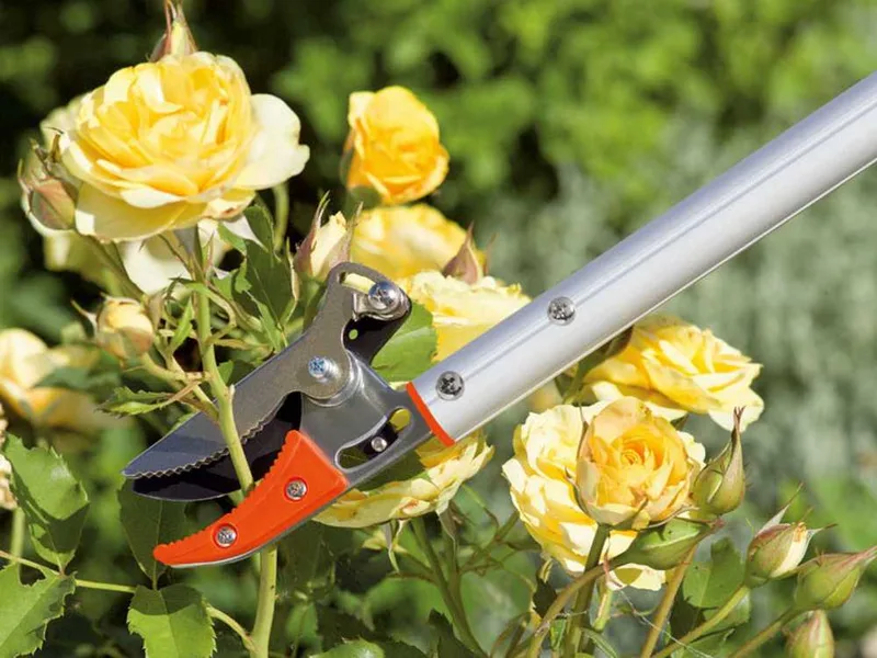 Stocker Art. 600 - Coupe-branches coupe-maintien de 60 cm - idéal pour la taille des rosiers