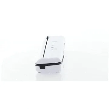 Royal Food VPM 3000 C - Machine sous-vide - Barre de soudure 30 cm
